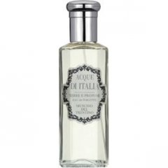 Muschio del Trentino